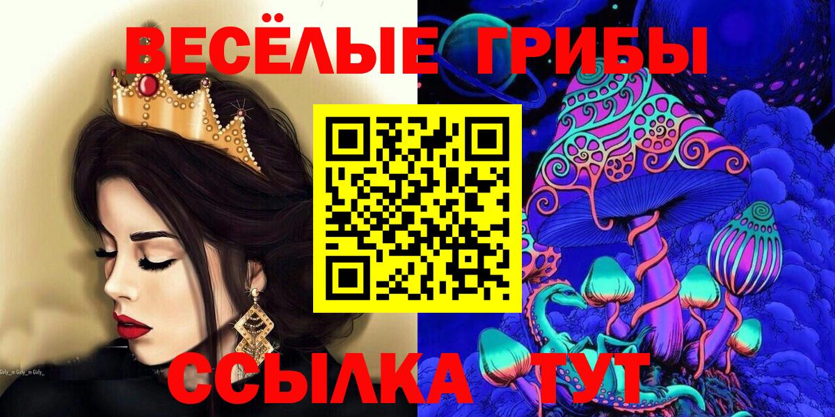 цена наркотик  Псилоцибиновые грибы прущие грибы  Вход с VPN  Псилоцибиновые грибы Psilocybine cubensis  Камень-на-Оби 
