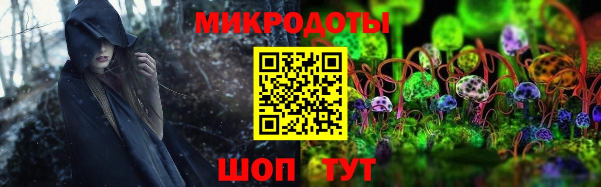 Галлюциногенные грибы Psilocybe Камень-на-Оби