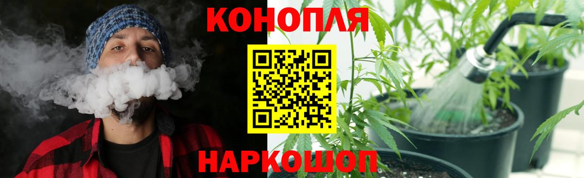 Конопля AK-47  Вход с VPN  Канабис Bruce Banner  Камень-на-Оби 